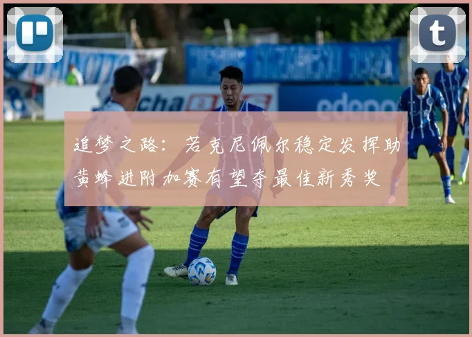 追梦之路：若克尼佩尔稳定发挥助黄蜂进附加赛有望夺最佳新秀奖