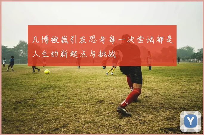 凡博被裁引发思考每一次尝试都是人生的新起点与挑战
